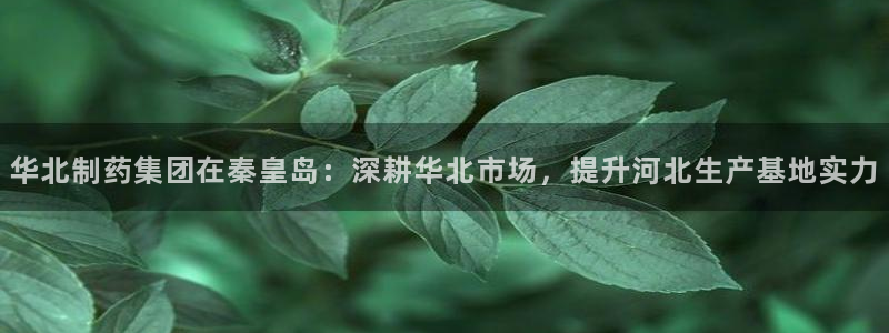 九游会老哥俱乐部必备的交流社区：华北制药集团在秦皇岛：深耕华北市场，提升河北生产基地实力