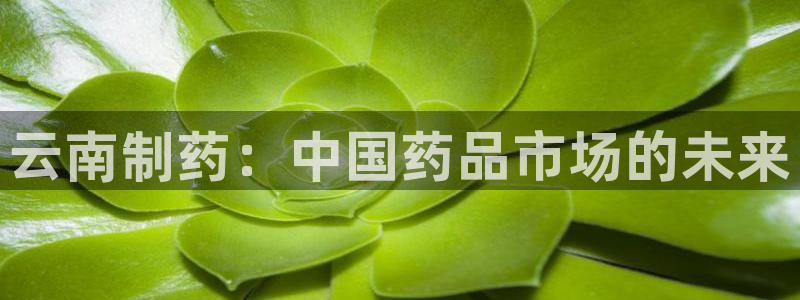j9九游会老哥俱乐部交流区：云南制药：中国药品市场的未来
