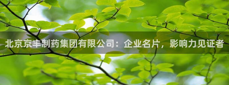 九游会老哥必备的交流社区：北京京丰制药集团有限公司：企业名片，影响力见证者