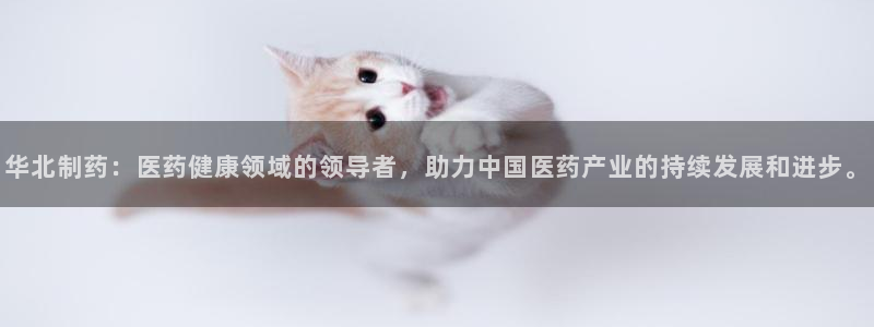 九游会老哥必备的交流社区：华北制药：医药健康领域的领导者，助力中国医药产业的持续发展和进步。