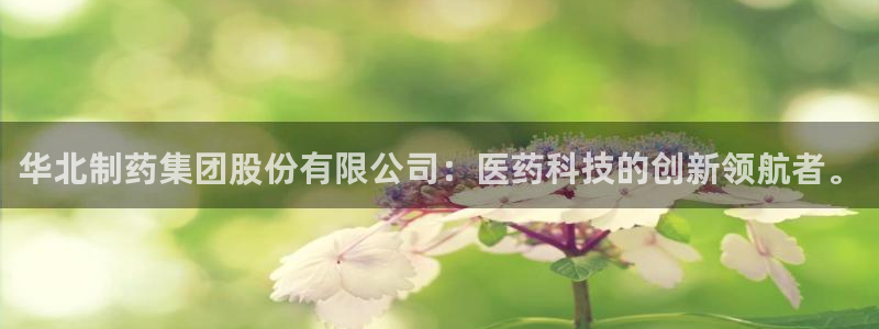九游老哥俱乐部官网登录网址：华北制药集团股份有限公司：医药科技的创新领航者。