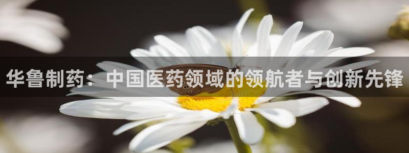usdt九游会老哥俱乐部：华鲁制药：中国医药领域的领航者与创新先锋