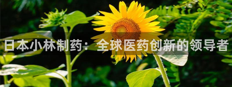 九游老哥俱乐部官网登录入口：日本小林制药：全球医药创新的领导者