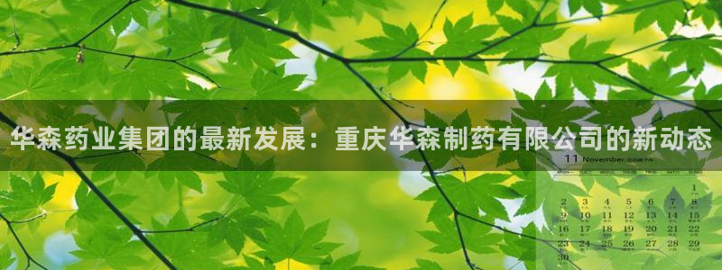 9游会老哥：华森药业集团的最新发展：重庆华森制药有限公司的新动态