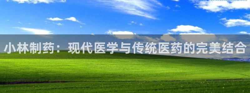 九游会老哥俱乐部官网首页：小林制药：现代医学与传统医药的完美结合