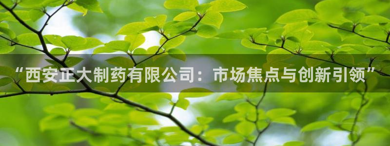 usdt九游会老哥俱乐部：“西安正大制药有限公司：市场焦点与创新引领”