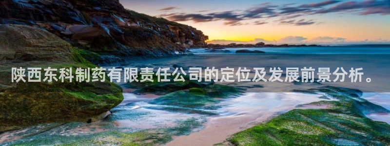 九游会老哥必备的交流社区：陕西东科制药有限责任公司的定位及发展前景分析。