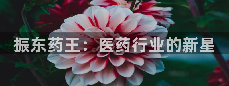 九游会老哥俱乐部官网：振东药王：医药行业的新星