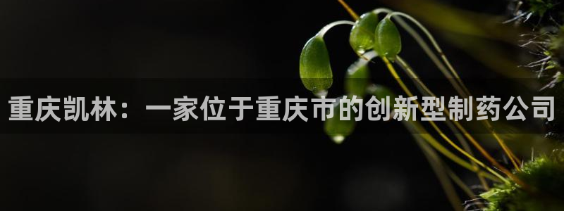 九游会老哥俱乐部交流社区：重庆凯林：一家位于重庆市的创新型制药公司