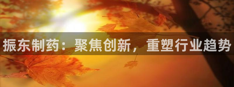 九游会老哥俱乐部官网：振东制药：聚焦创新，重塑行业趋势