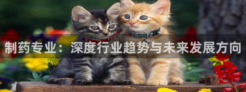ag九游老哥俱乐部：制药专业：深度行业趋势与未来发展方向