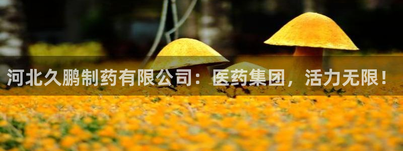 usdt九游会老哥俱乐部：河北久鹏制药有限公司：医药集团，活力无限！