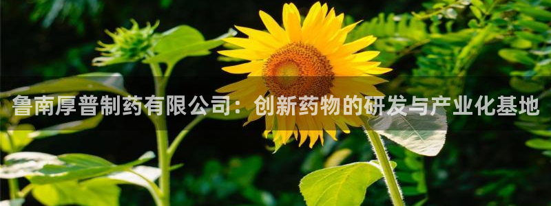 9游会老哥俱乐部：鲁南厚普制药有限公司：创新药物的研发与产业