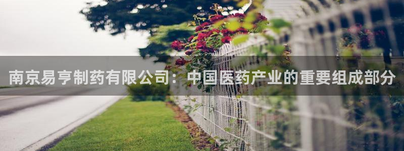 老哥吧九游会下架吗：南京易亨制药有限公司：中国医药产业的重要组成部分
