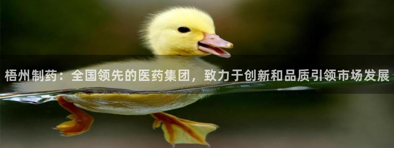 usdt九游会老哥俱乐部：梧州制药：全国领先的医药集团，致力于创新和品质引领市场发展
