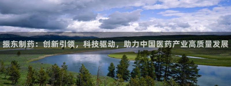 老哥吧九游会：振东制药：创新引领，科技驱动，助力中国医药产业高质量发展