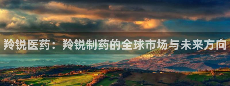 九游会老哥俱乐部：羚锐医药：羚锐制药的全球市场与未来方向