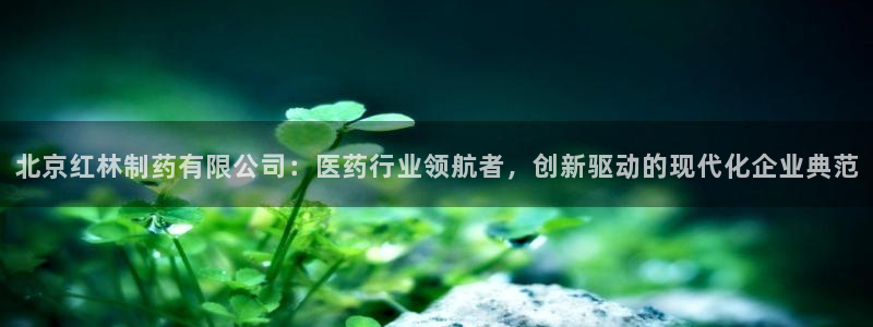 9游会老哥：北京红林制药有限公司：医药行业领航者，创新驱动的现代化企业典范