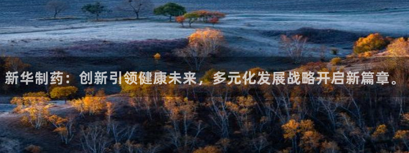 九游会老哥俱乐部论坛版：新华制药：创新引领健康未来，多元化发展战略开启新篇章。