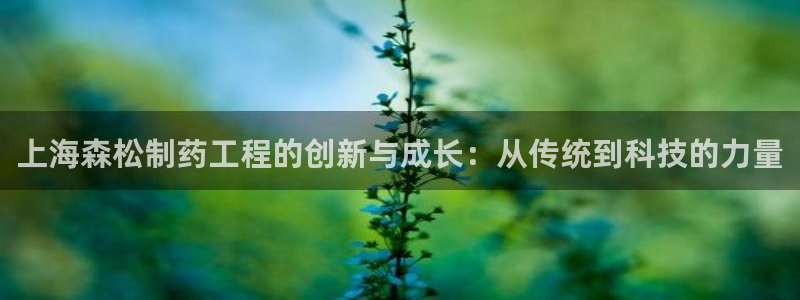 老哥俱乐部是干什么的：上海森松制药工程的创新与成长：从传统到科技的力量