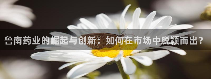 9游会老哥俱乐部：鲁南药业的崛起与创新：如何在市场中脱颖而出
