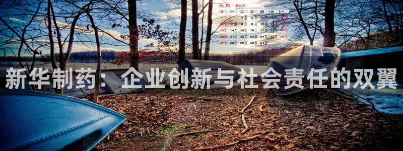 九游会老哥必备的交流社区：新华制药：企业创新与社会责任的双翼