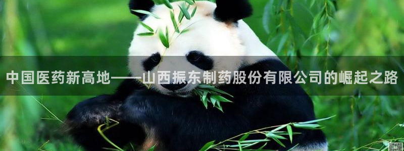 九游老哥俱乐部官网登录：中国医药新高地——山西振东制药股份有限公司的崛起之路