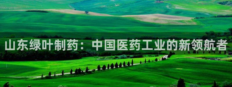 ag九游老哥俱乐部：山东绿叶制药：中国医药工业的新领航者