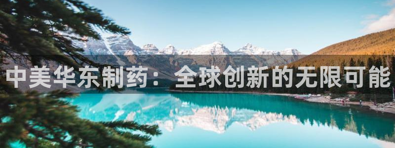 九游会老哥俱乐部社区论坛：中美华东制药：全球创新的无限可能