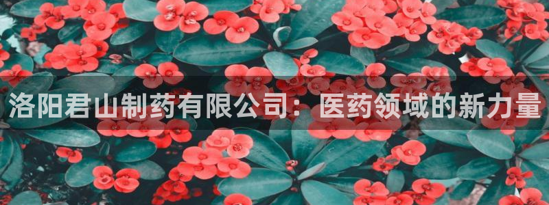 九游会老哥俱乐部论坛版：洛阳君山制药有限公司：医药领域的新力量