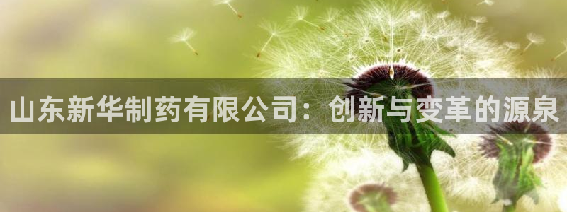 九游会老哥必备的交流社区：山东新华制药有限公司：创新与变革的源泉