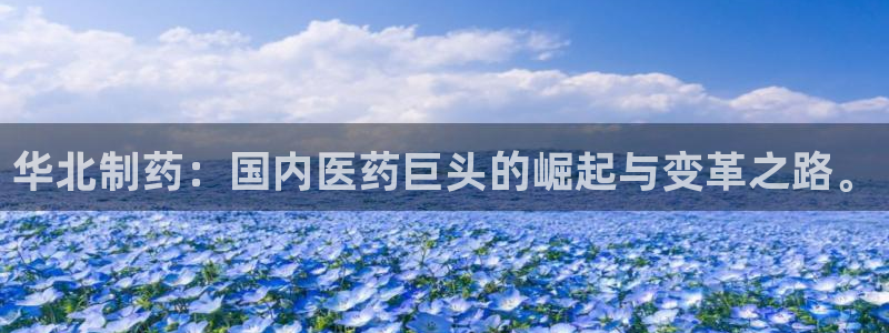 九游会老哥俱乐部官网