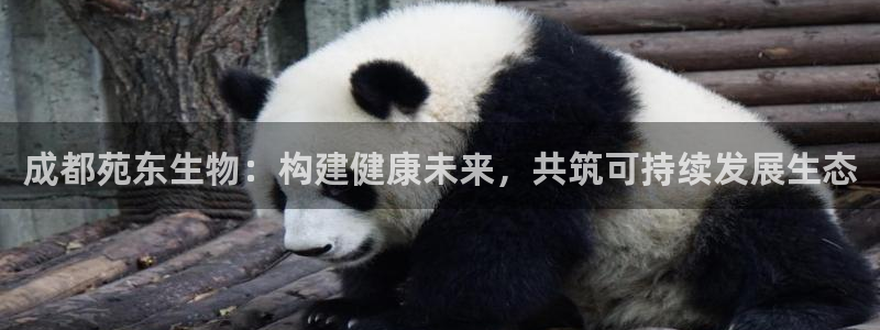 九游会老哥俱乐部官方网站