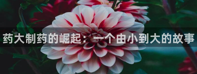 九游会老哥俱乐部必备的交流社区论坛：药大制药的崛起：一个由小到大的故事