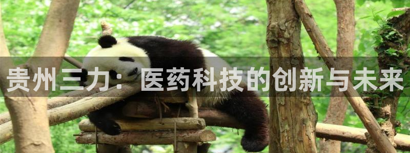 九游会老哥必备的交流社区