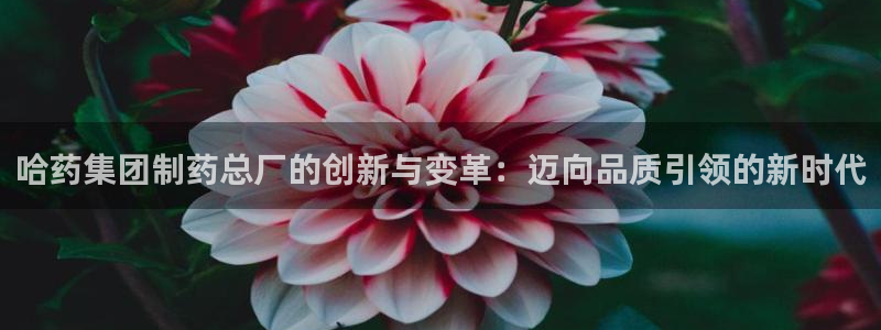 九游老哥俱乐部官网登录不了：哈药集团制药总厂的创新与变革：迈向品质引领的新时代